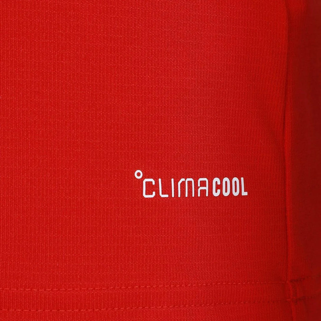 Camisa País de Gales Home 2026 - Vermelha